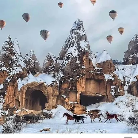 Aygun